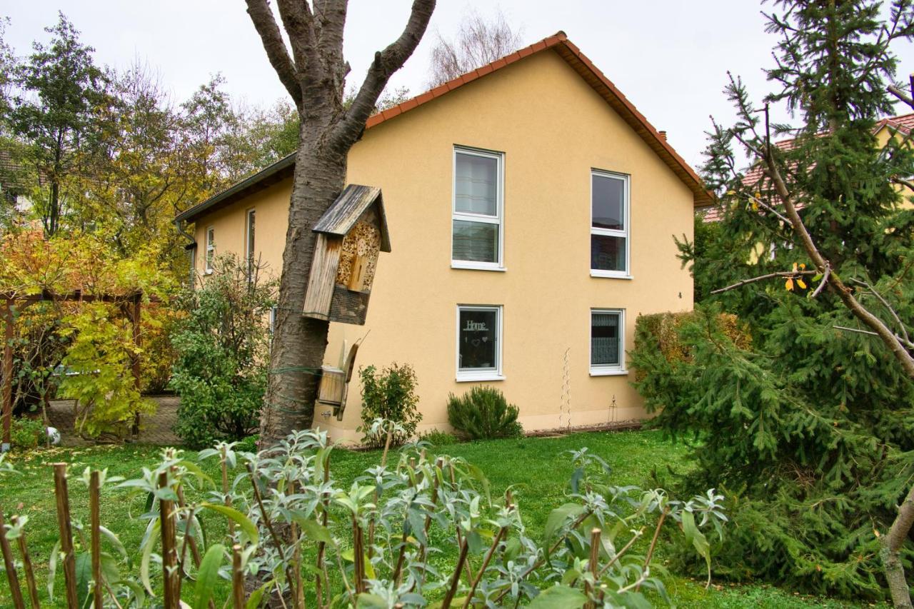 Mycozyplace - Gemuetliches Zimmer Fuer Zwei دريسدن المظهر الخارجي الصورة